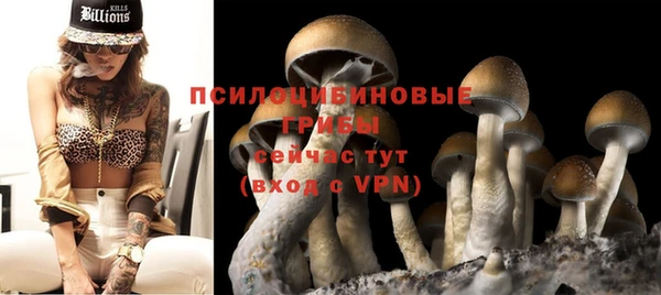 прущий лед Мегион
